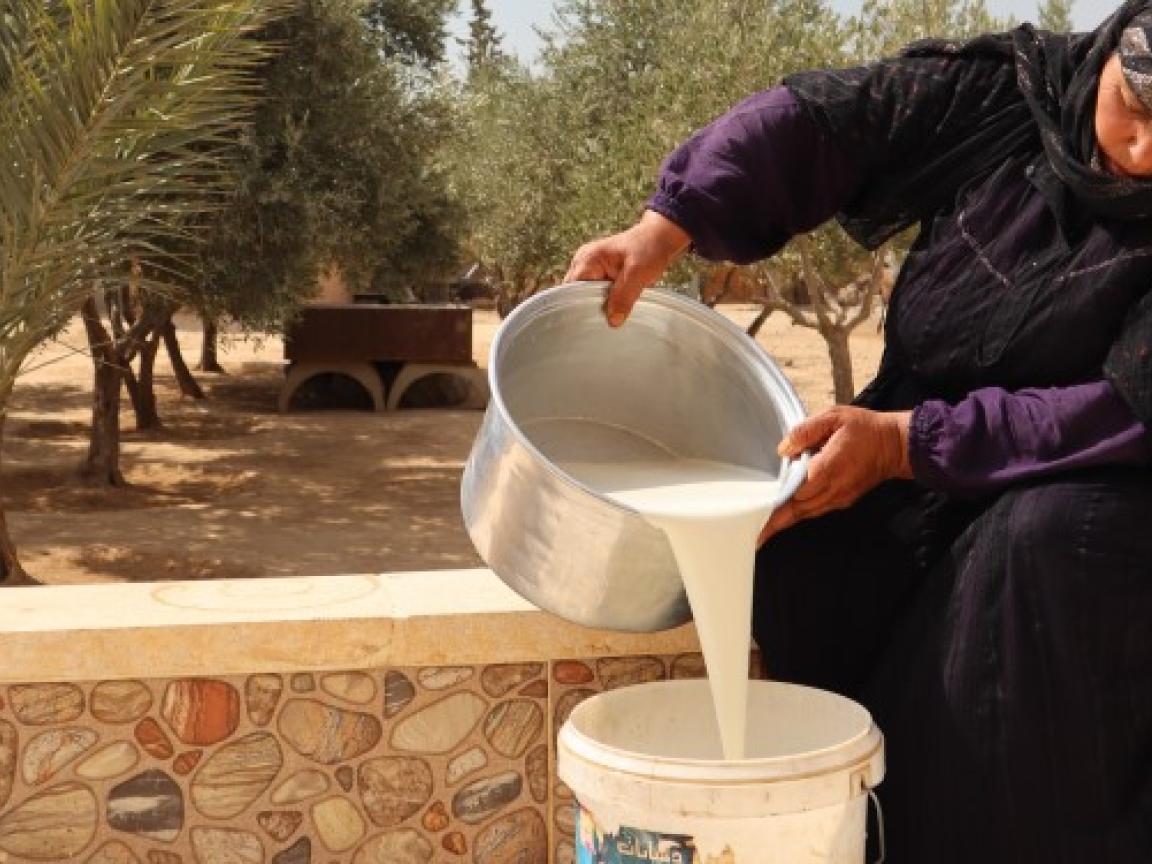 Eine Frau verarbeitet Milch, um sie besser haltbar zu machen.