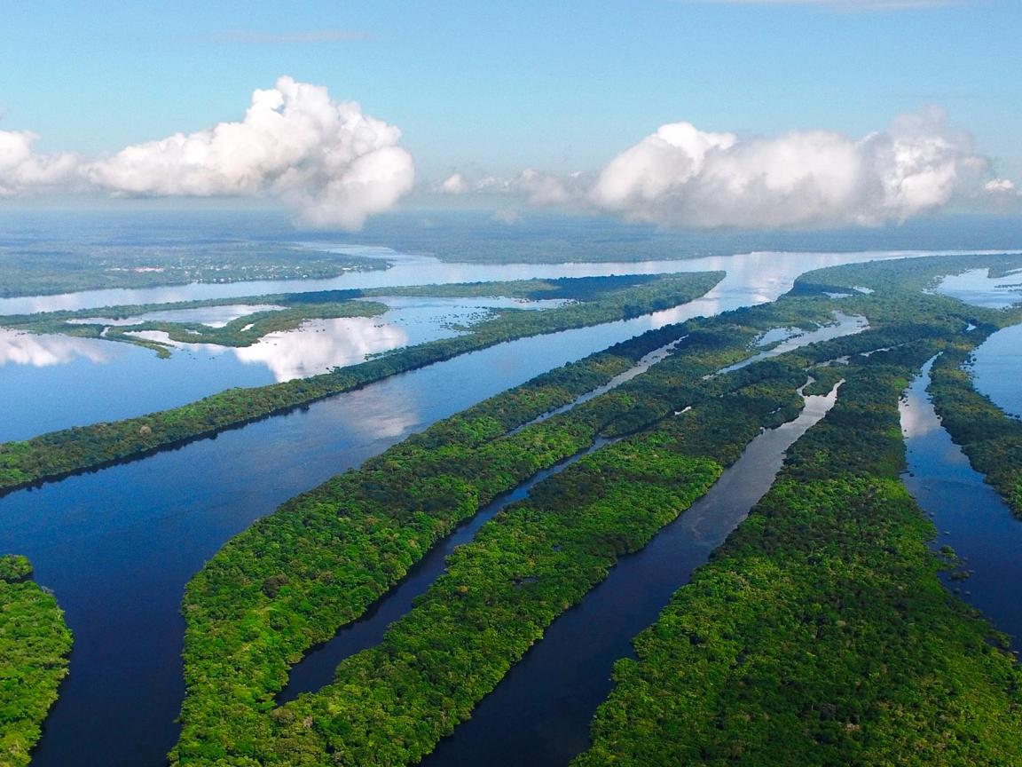 Präsident Lulas Waldpolitik zeigt Wirkung