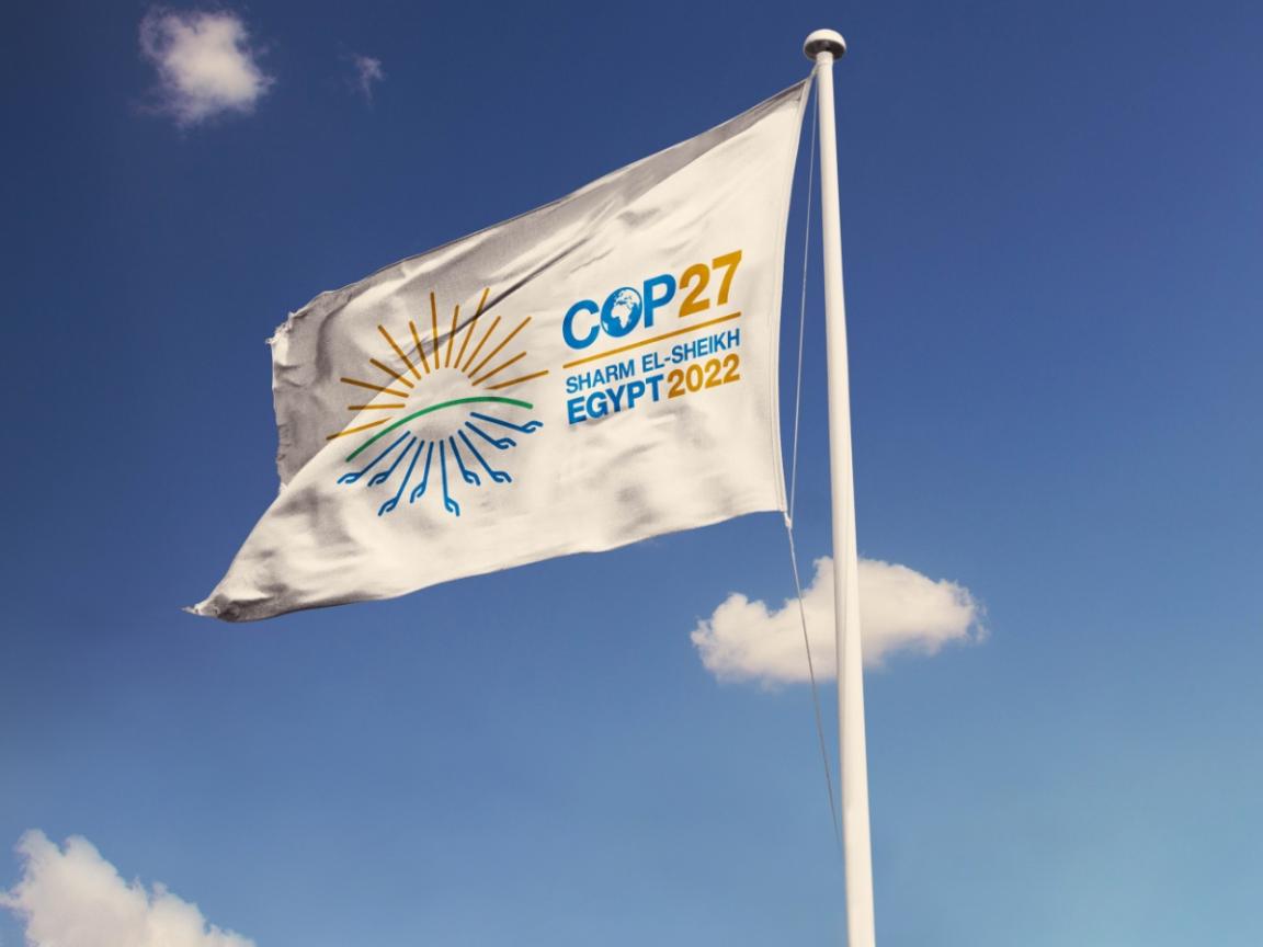 Fahne mit Logo des COP27