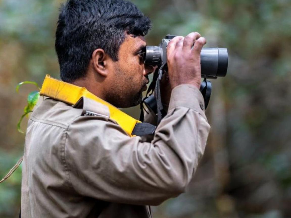 Einer Ranger späht durch das Fernglas
