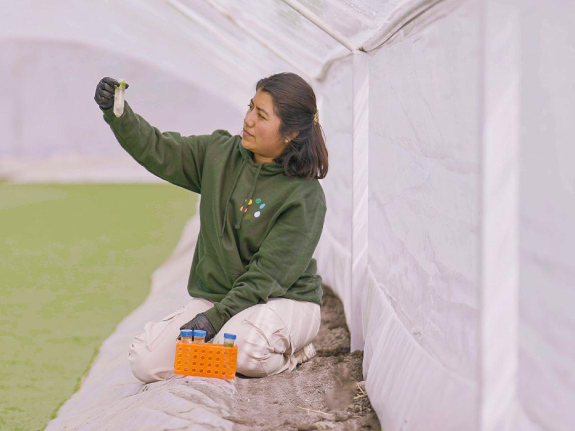 Wasserlinsen wachsen im Becken, daneben kniet eine Frau mit einer Probeampulle in der Hand.