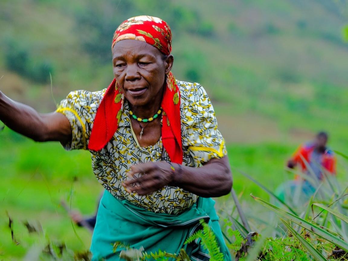 Eine Bäuerin wirft Pflanzenreste auf ein Feld.