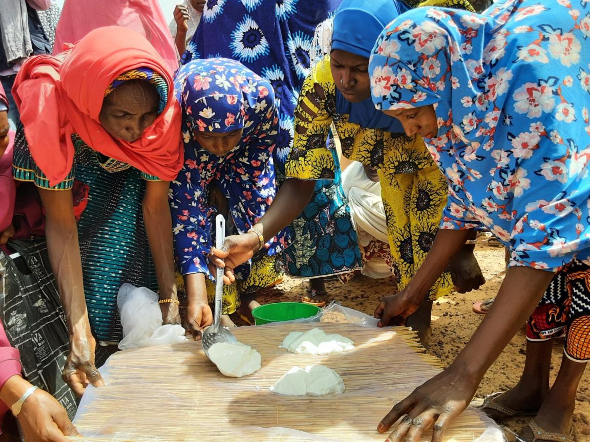 Leaning over a reed mat, four women make cheese from goat’s milk.