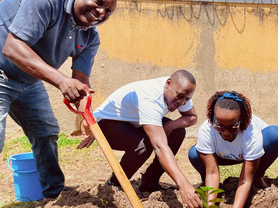 Three people work outdoors and plant a seedling together.