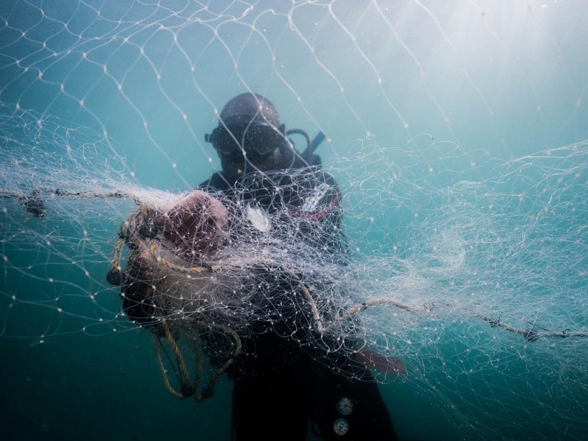 Alte Netze fischen wie Geister weiter