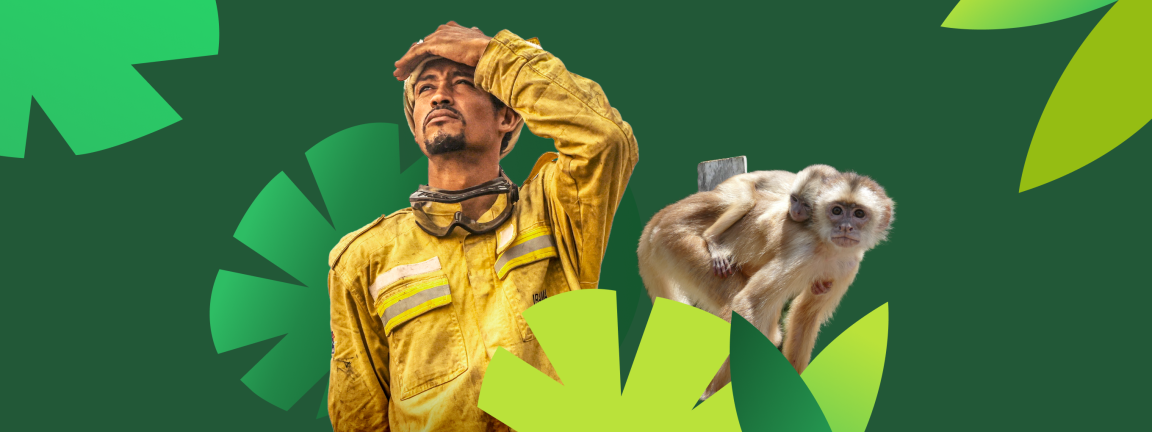 A firefighter in yellow gear stands with his hand raised to his forehead next to a monkey carrying a baby on its back, set against a green background with stylized leaves.