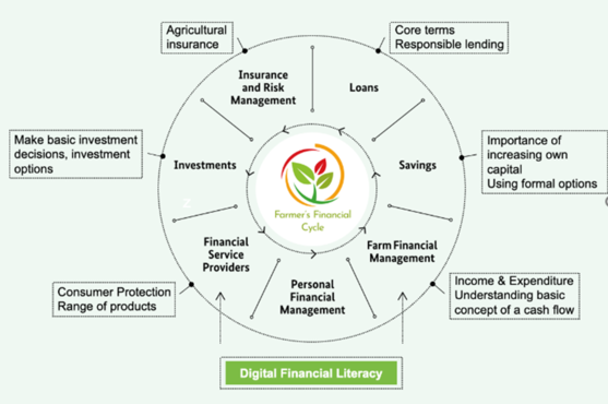Ein grünes Schaubild mit der Aufschrift "Digital Financial Literacy".