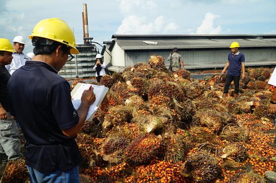 Indonesia cooperation agreement