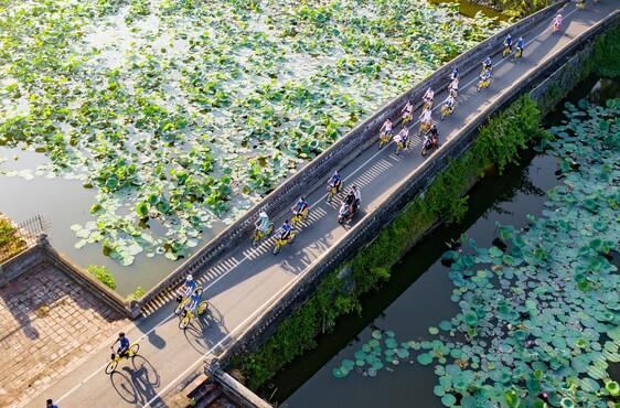 People riding bikes on a bridge