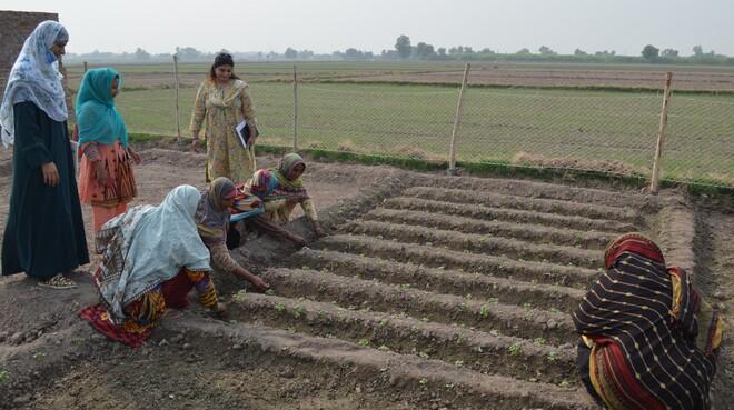 Blossoming Gardens: Empowering Rural Women through Climate-Smart Agriculture