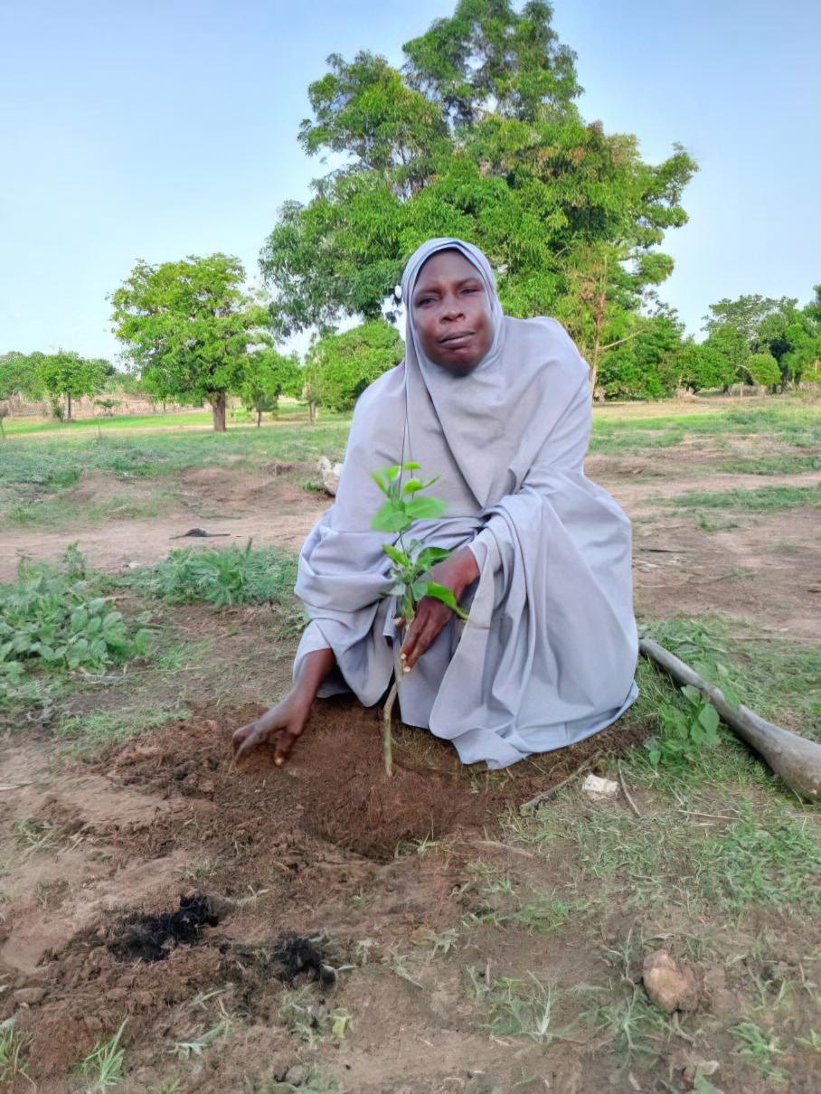 Eine Frau kniet neben einem Setzling eines frisch gepflanzten Baumes.