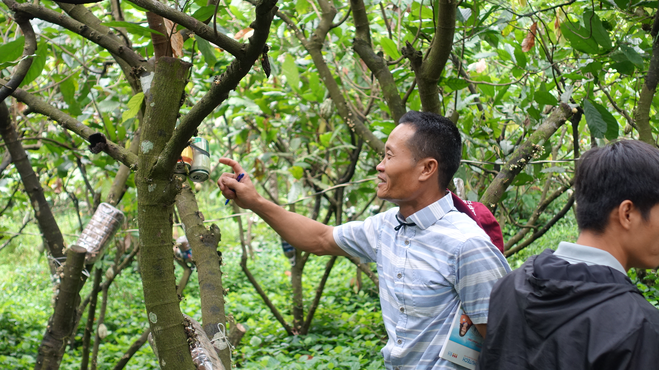 2 men in the forest, one of them is looking at a tree