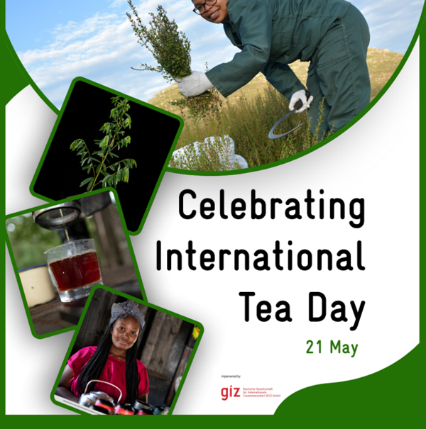 Picture saying "Celebrating International Tea Day 21 May"