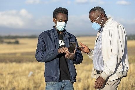 Zwei Männer nutzen auf dem Feld mittels ihres Smartphones "Lersha".