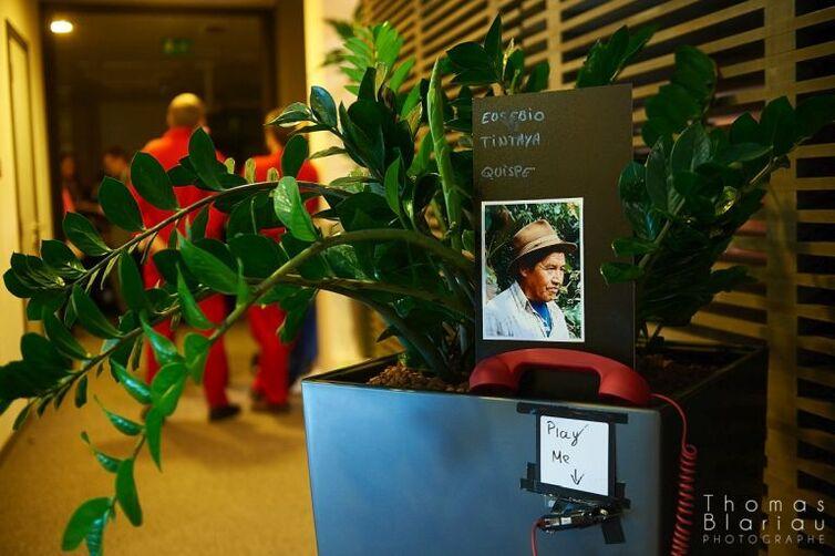 In einer Topfpflanze steht ein Bild und ein roter Kopfhörer