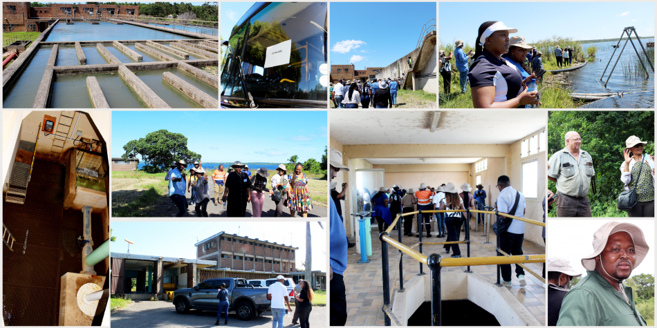 Natural Resources Stewardship 