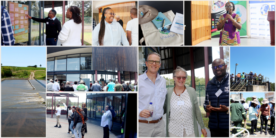 Natural Resources Stewardship 