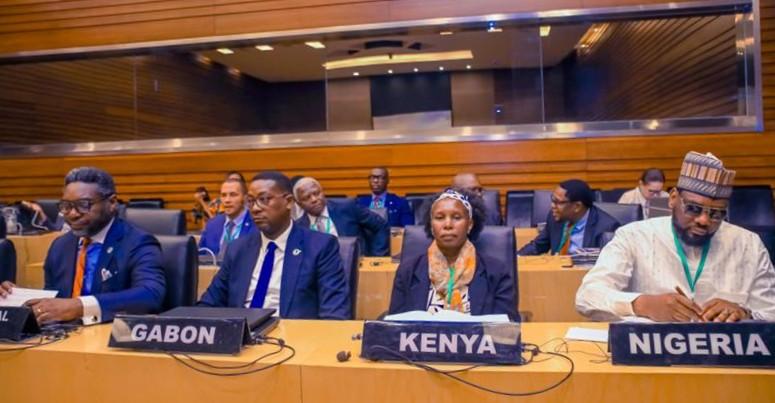 The 1st African Energy Efficiency Conference in Addis Ababa, Ethiopia