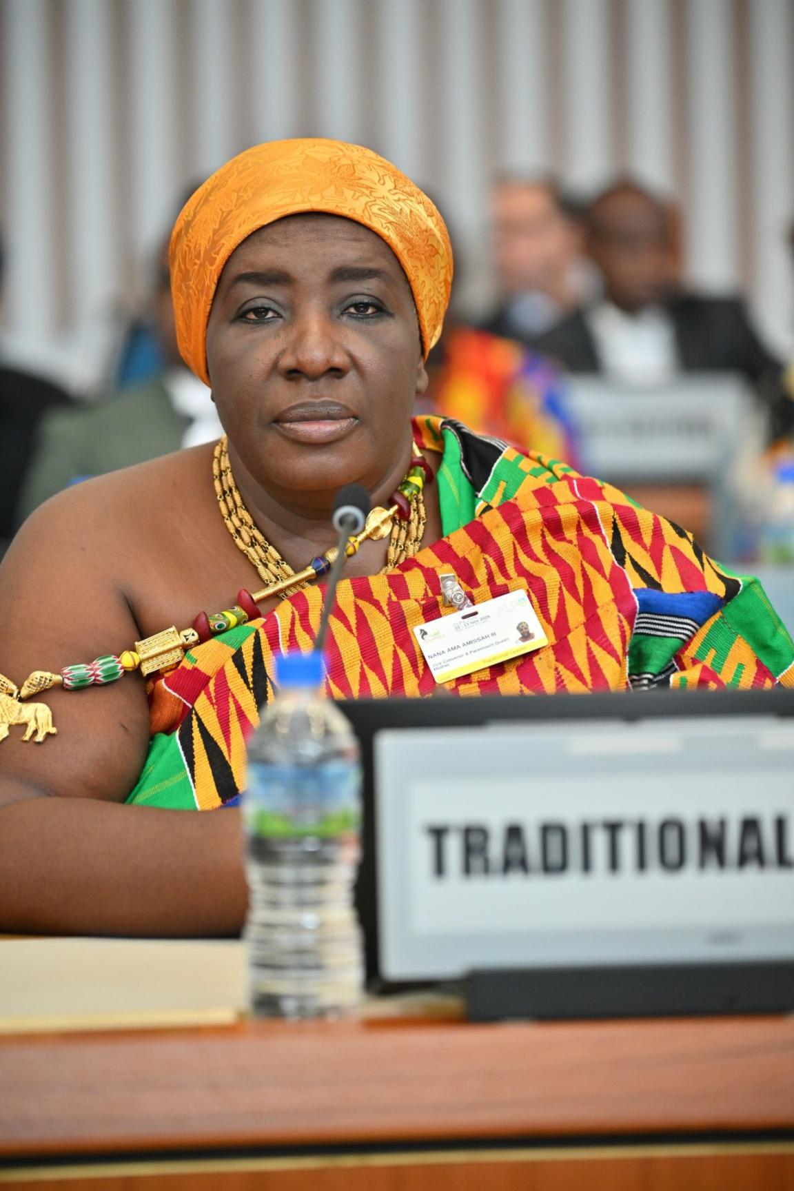 Traditional leaders participating at the Conference on Land Policy in Africa