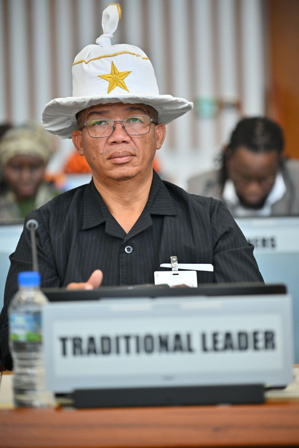 Traditional leaders participating at the Conference on Land Policy in Africa 