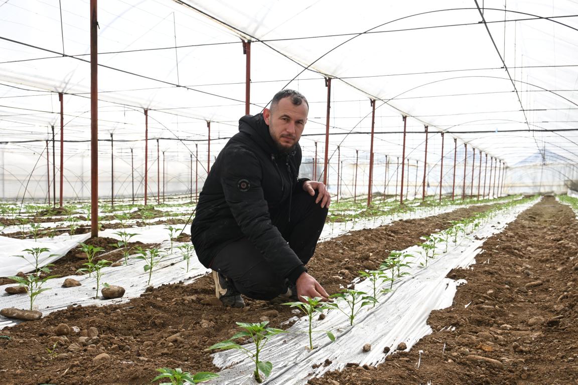 Emiljano Lushka, young farmer in Hoxhaj, Berat