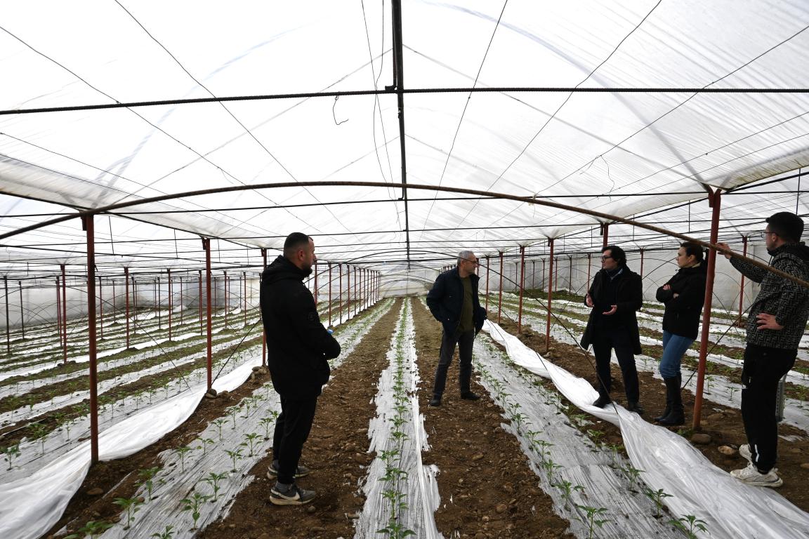 GIZ supporting farmers in sustainable greenhouse production
