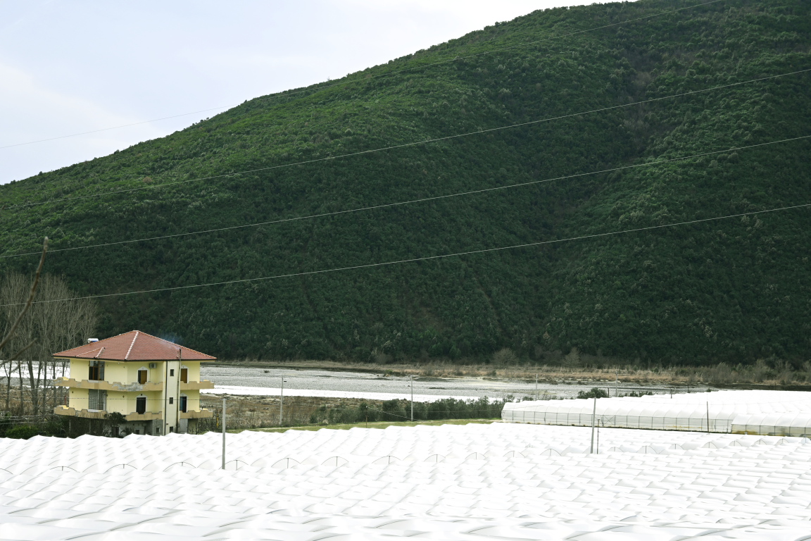 Greenhouses in Hoxhaj, Berat 