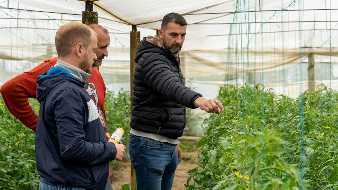 Elvis Shkëmbi, Agronomist