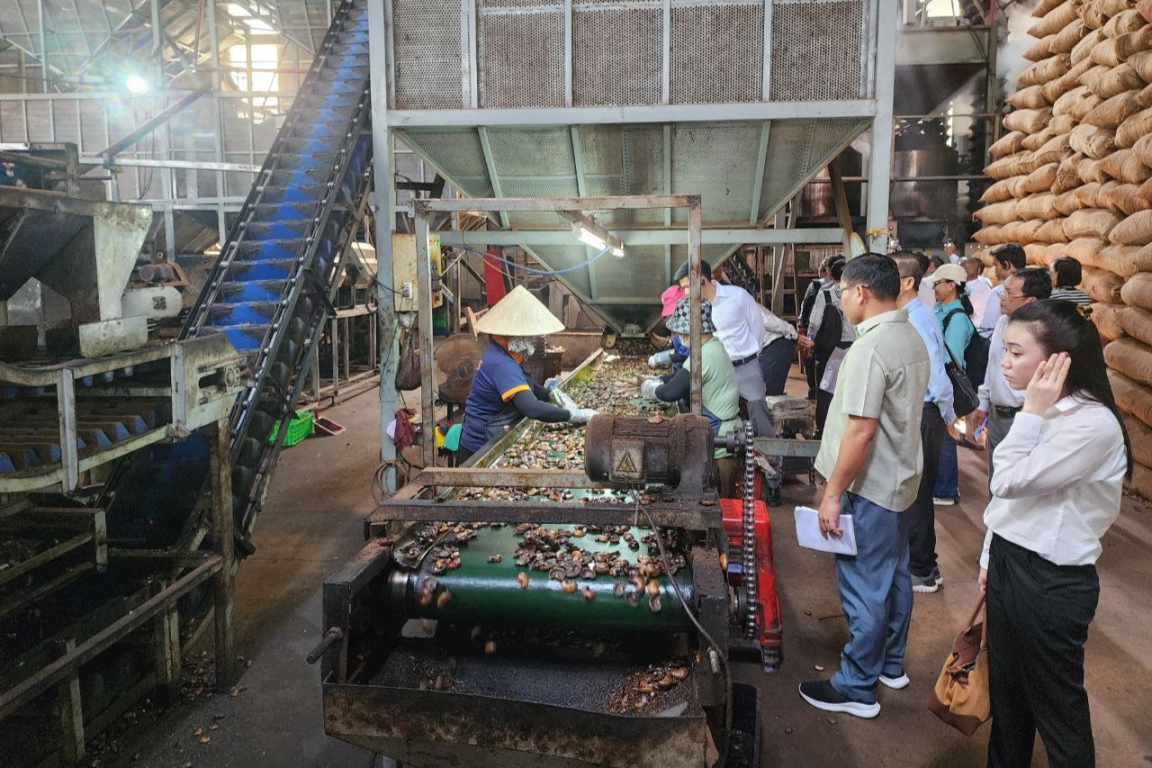 A group of people is standing around a ropebelt conveyor in a factory where two workers are processing nuts.