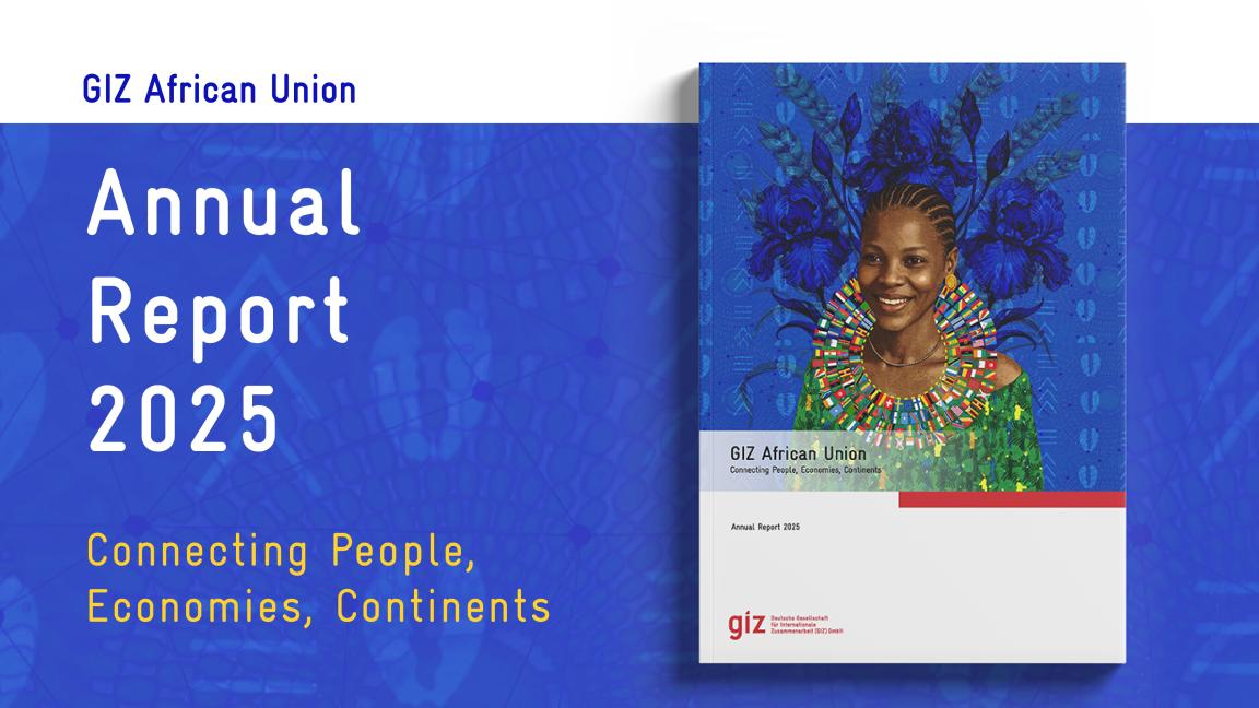 GIZ AU Annual Report Visual