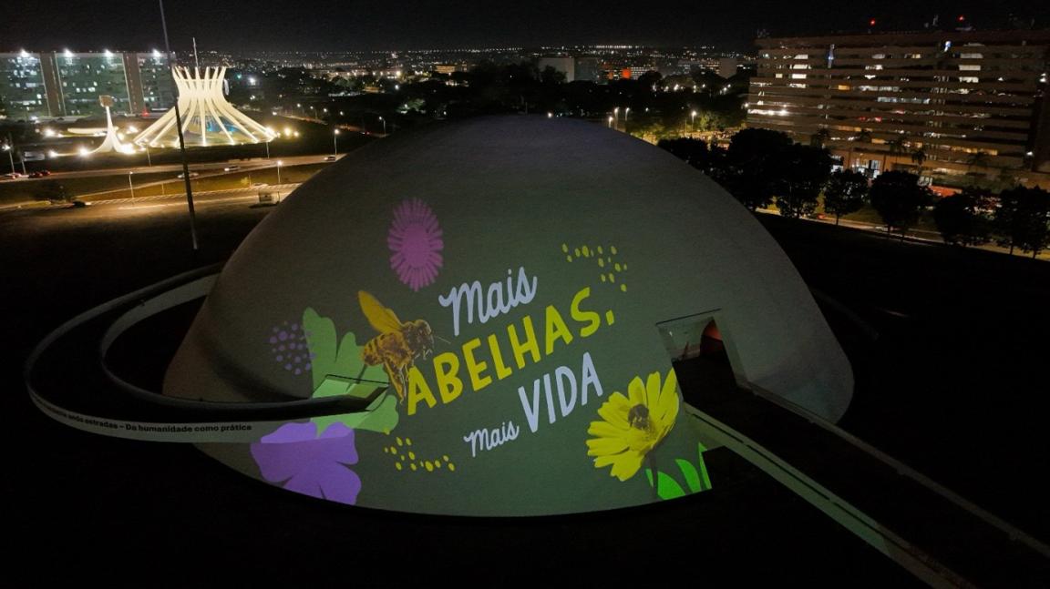 Projeção "Mais abelhas, mais vida" no Museu Nacional de Brasília