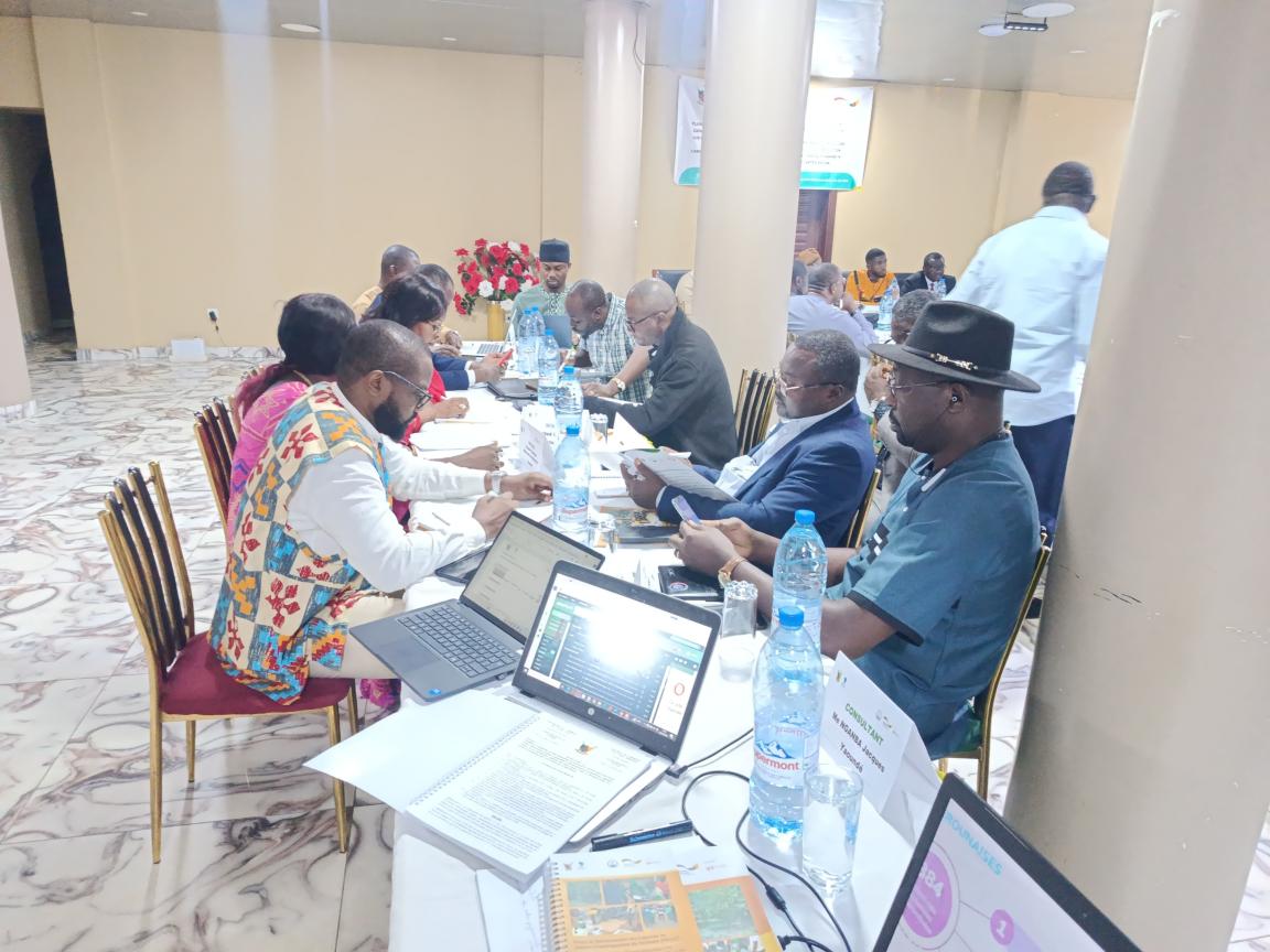 LA REACTIVATION DES CADRES DE CONCERTATION POUR LE DESENCLAVEMENT DES ZONES DE PRODUCTION AGRICOLE ENCLENCHEE POUR LA REGION DU CENTRE