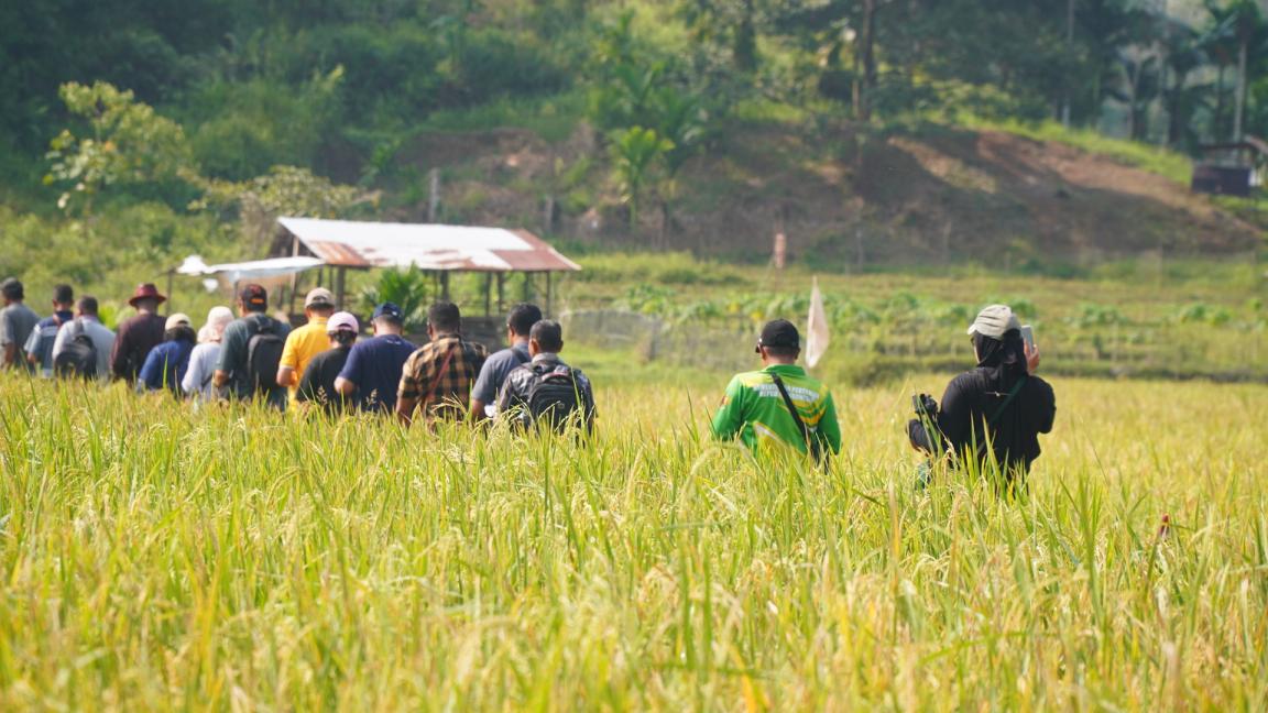 Photograph showing a group of people walking through a lush green field, likely engaged in an agricultural or nature-related activity. The scene features tall grass, a small shelter in the background, and a forested hillside, highlighting a rural or farming environment.
