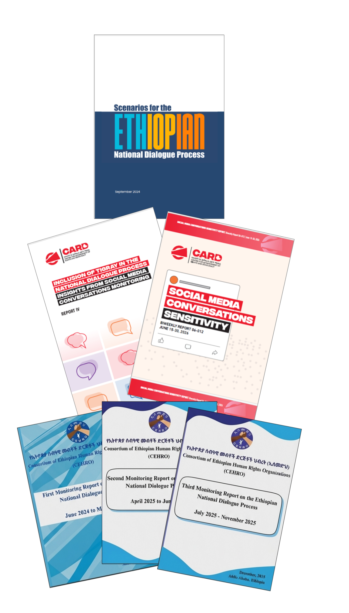 A selection of the reports produced  by CSO partners.