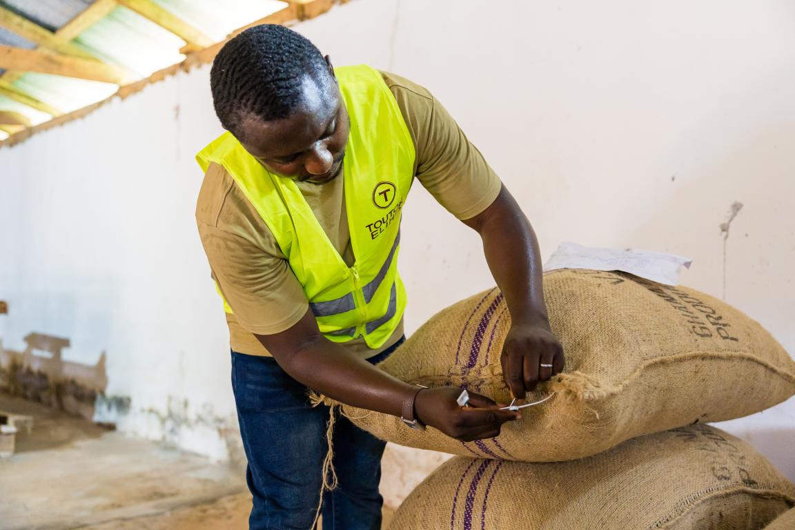 inspecting cocoa packaging