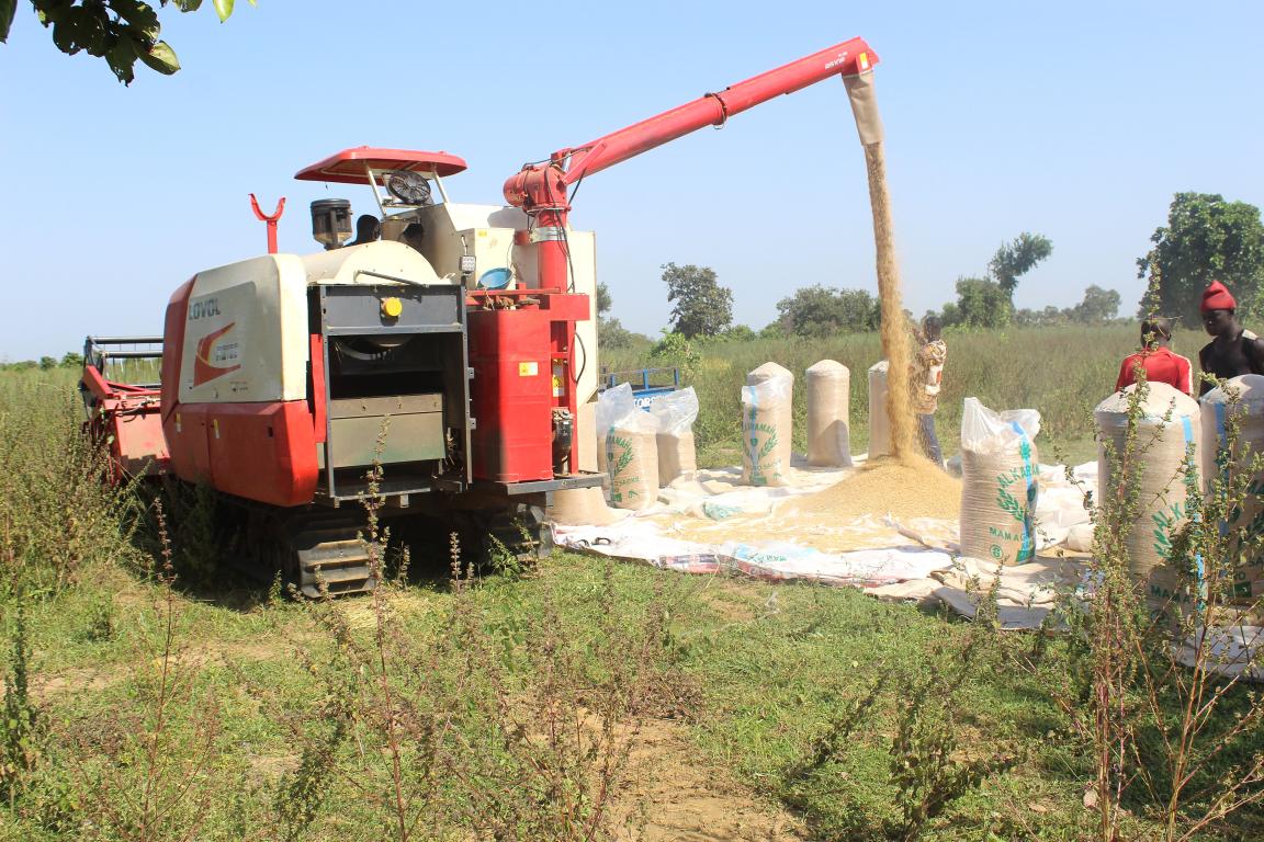 Truck with cereals 