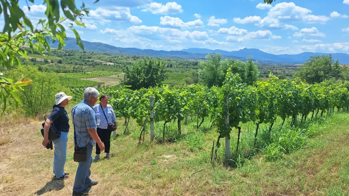 TUI-Field-to-Fork-Western-Balkans-supporting-transition-to-regenerative-agric.webp