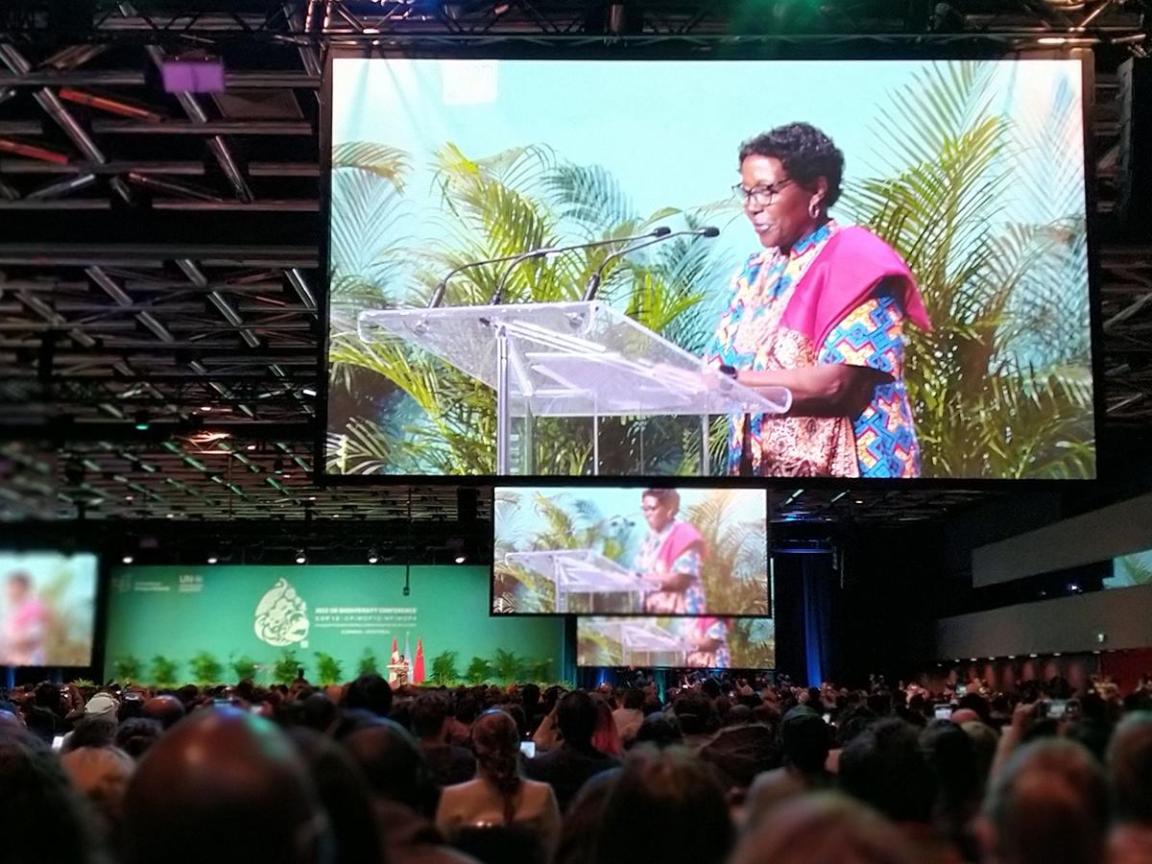 Aufnahme aus der COP 15