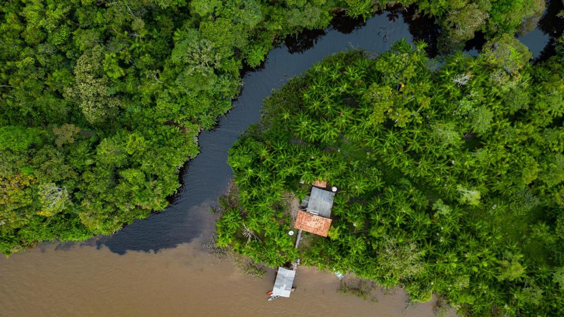 Rio Capim - Bundesstaat Pará - Amazonien