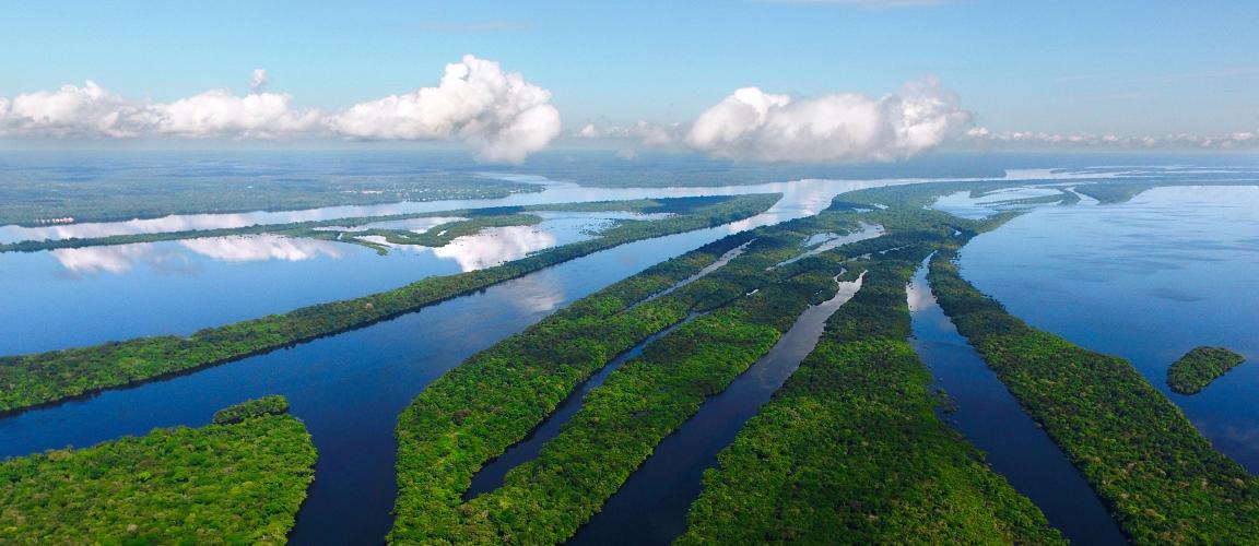 Präsident Lulas Waldpolitik zeigt Wirkung
