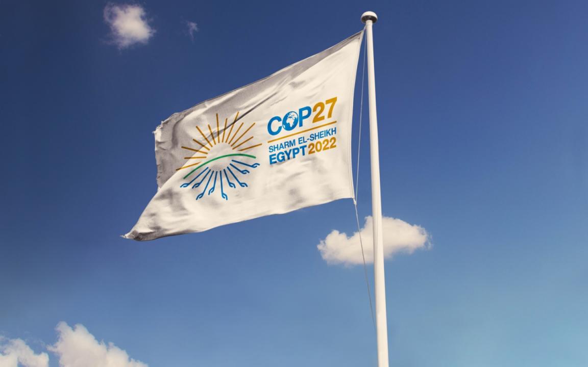 Fahne mit Logo des COP27