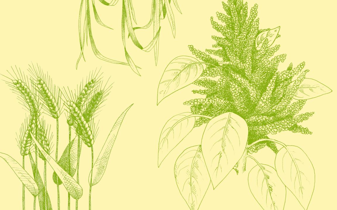 Illustration von Pflanzen