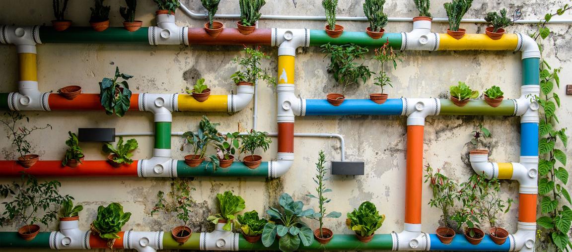 Wand voll mit Pflanzen