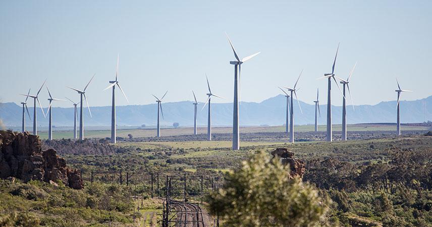 Feld mit ganz vielen Windrädern