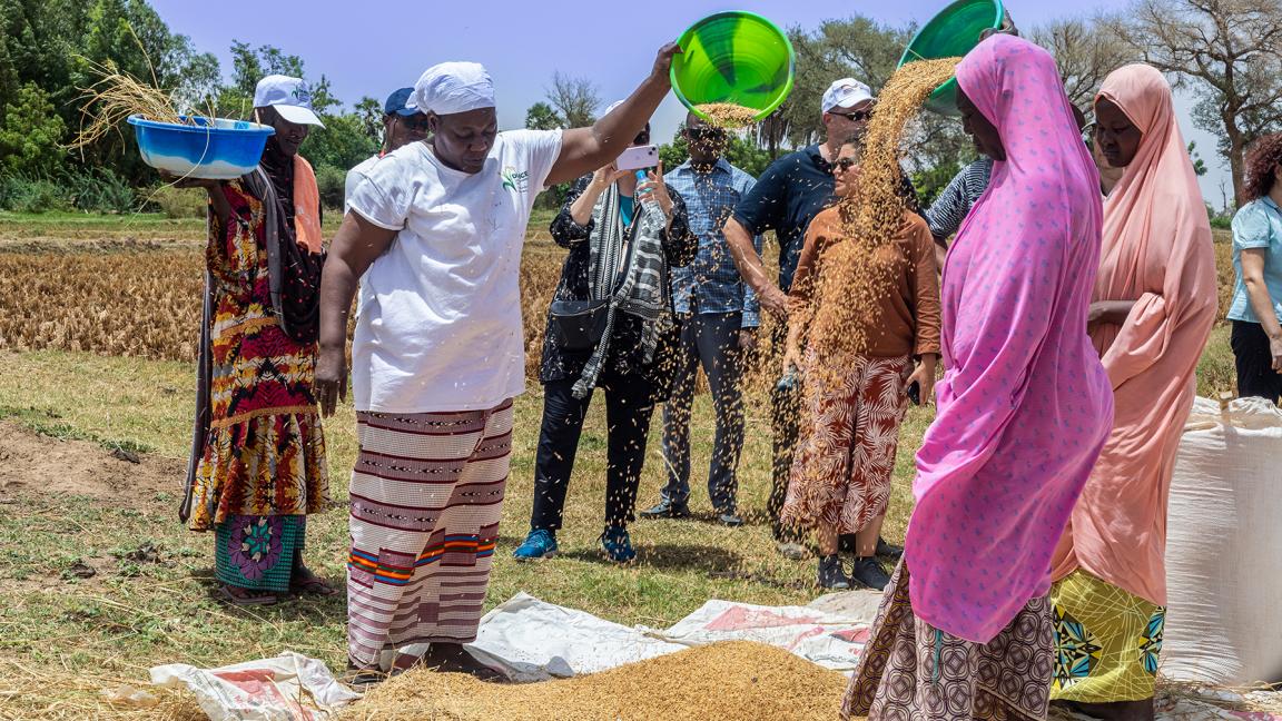 Reisbäuerin Rakia Madougou zeigt ihre Ernte