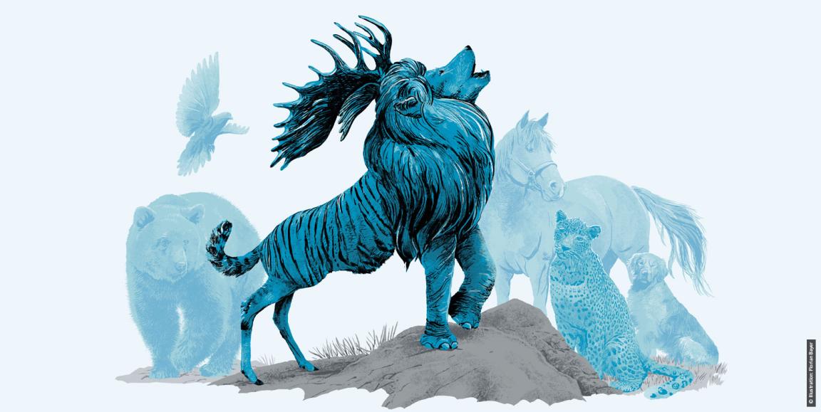 Zum dritten Mal hat die GIZ Menschen in aller Welt zu ihrem Deutschlandbild befragt. Mit dabei: Unternehmer, Wissen­schaftler, Politiker, Künstler, Journalisten und Vertreter vieler anderer Berufsgruppen aus allen Kontinenten. Die fünf wichtigsten Erkenntnisse.