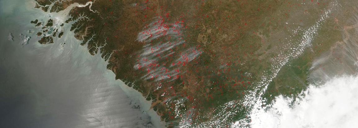 Satelitenaufnahme einer Küstenregion. Zur hälfte ist Land zu sehen die andere Hälfte ist Meer