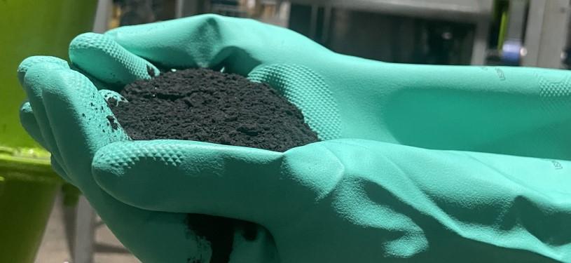 Hände in grünen Gummihandschuhen, die ein schwarzes Pulver halten.