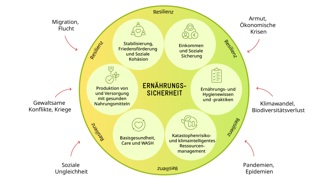 Schematische Darstellung eines Kreislaufs. Im Zentrum steht Ernährungssicherheit, darauf folgen die sechs  Segmente zu: Stabilisierung, Friedensförderung; Einkommen; Ernährung und Hygiene ; Katastrophenrisiko- und klimaintelligentes Ressourcenmanagement; Basisgesundheit; Produktion von/Versorgung mit Nahrungsmitteln. Aussen um den Kreis stehen rote Pfeile mit Herausforderungen, innerhalb wiederholt das Wort Resilienz. 