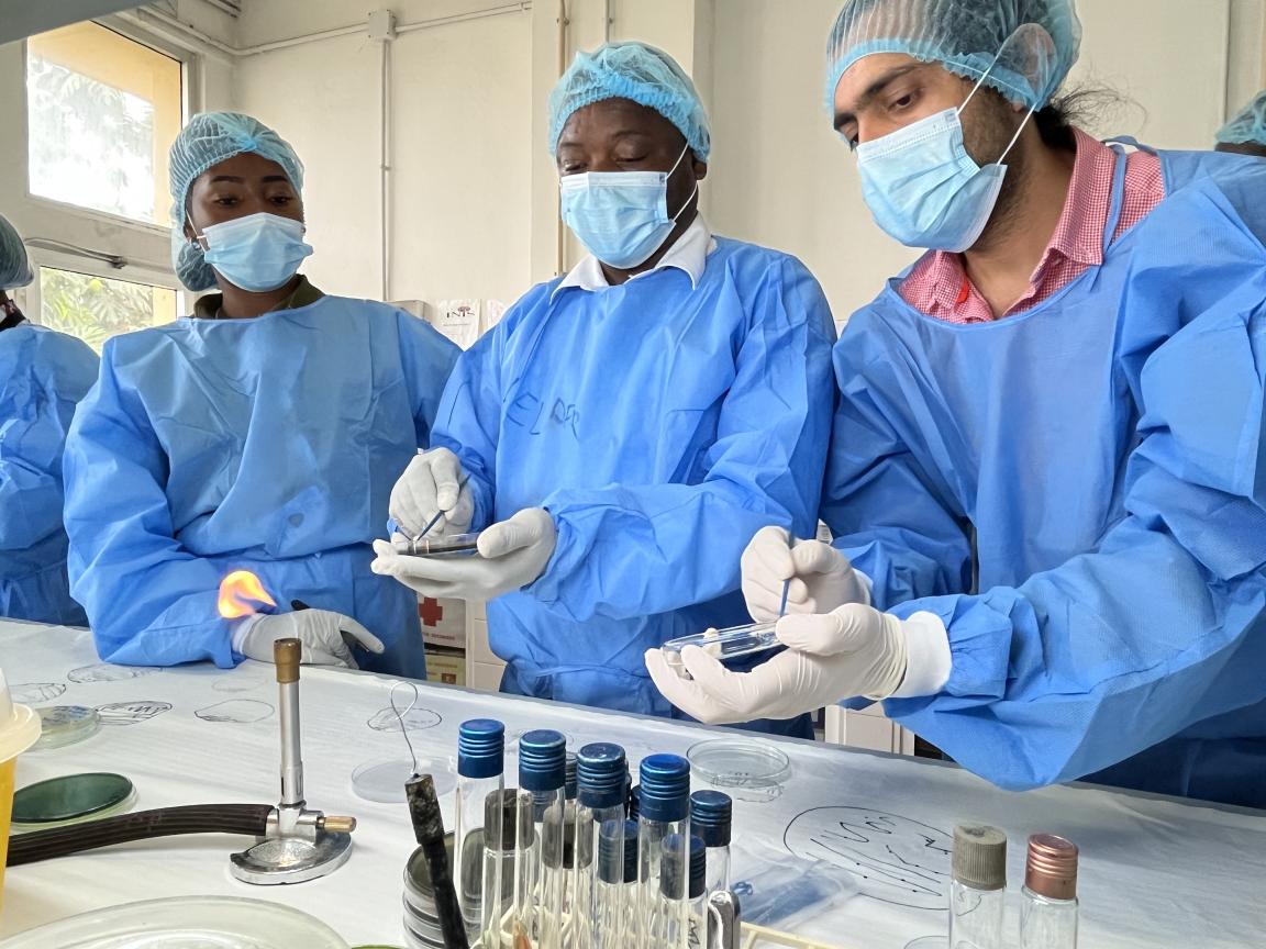 Testen von Choleraproben